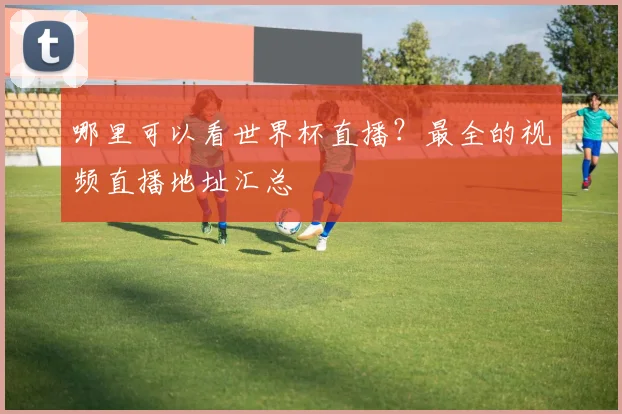 哪里可以看世界杯直播?最全的视频直播地址汇总