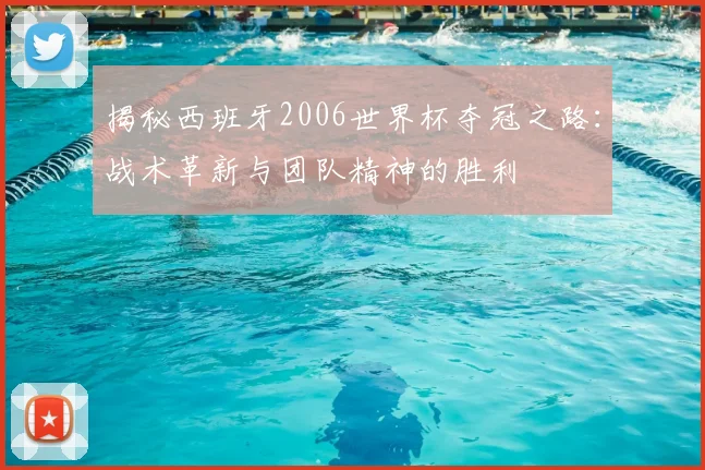 揭秘西班牙2006世界杯夺冠之路:战术革新与团队精神的胜利