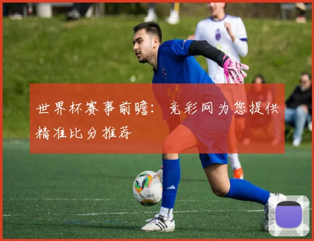 世界杯赛事前瞻：竞彩网为您提供精准比分推荐